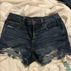 Aerie Blue Jean Shorts Distressed Cut-Off Style
